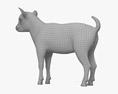 Bambino di capra Modello 3D
