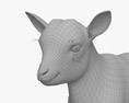 山羊宝宝 3D模型