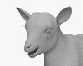 山羊宝宝 3D模型