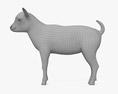 Bambino di capra Modello 3D