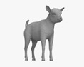 Goat Baby 3d model