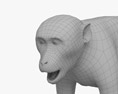 食蟹獼猴 3D模型