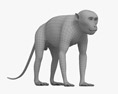 食蟹獼猴 3D模型