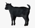 Bebé Cabra Negra Modelo 3D