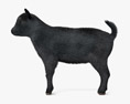 Bébé chèvre noire Modèle 3d