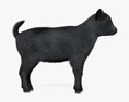 Bebé Cabra Negra Modelo 3D