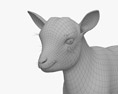 白山羊宝宝 3D模型