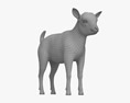 Bambino capra bianca Modello 3D