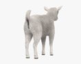 Bebé cabra branca Modelo 3d