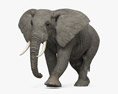 歩くアフリカ象 3Dモデル