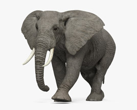 Elefante africano andante Modelo 3D