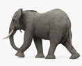 行走的非洲象 3D模型
