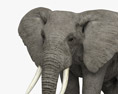 Laufender Afrikanischer Elefant 3D-Modell