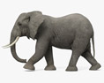 Walking African Elephant 3d model