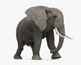 Walking African Elephant 3d model