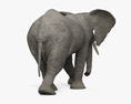 걷는 아프리카 코끼리 3D 모델 