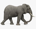 걷는 아프리카 코끼리 3D 모델 