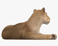 Lying Lioness 3d model