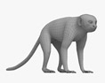 Scimmia leonina Modello 3D