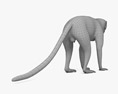 Scimmia leonina Modello 3D