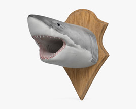 Tête de requin Modèle 3D