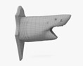 Tête de requin Modèle 3d