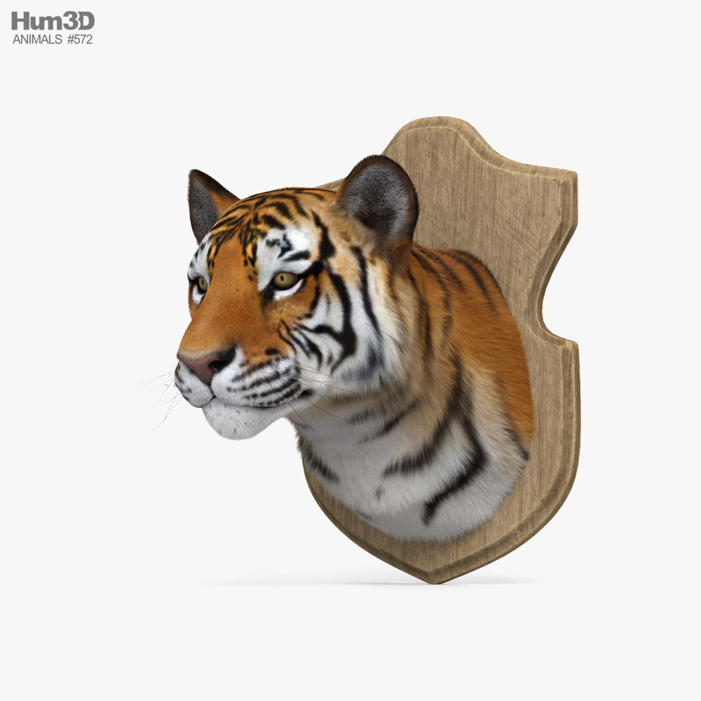Tigerkopf 3D-Modell