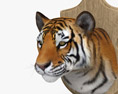 Tête de tigre Modèle 3d