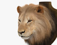 Lion Head 3d model