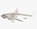 Скелет акули 3D модель