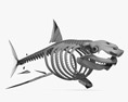 Esqueleto de Tubarão Modelo 3d