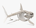 サメの骨格 3Dモデル