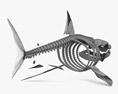 鲨鱼骨架 3D模型