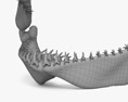 Щелепа акули 3D модель