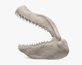 Mascella dello squalo Modello 3D