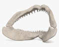 Haifischkiefer 3D-Modell