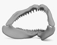Mandíbula de Tubarão Modelo 3d