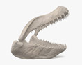 Щелепа акули 3D модель