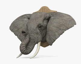 Elephant Head 3D model