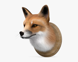 Fox Head 3D model