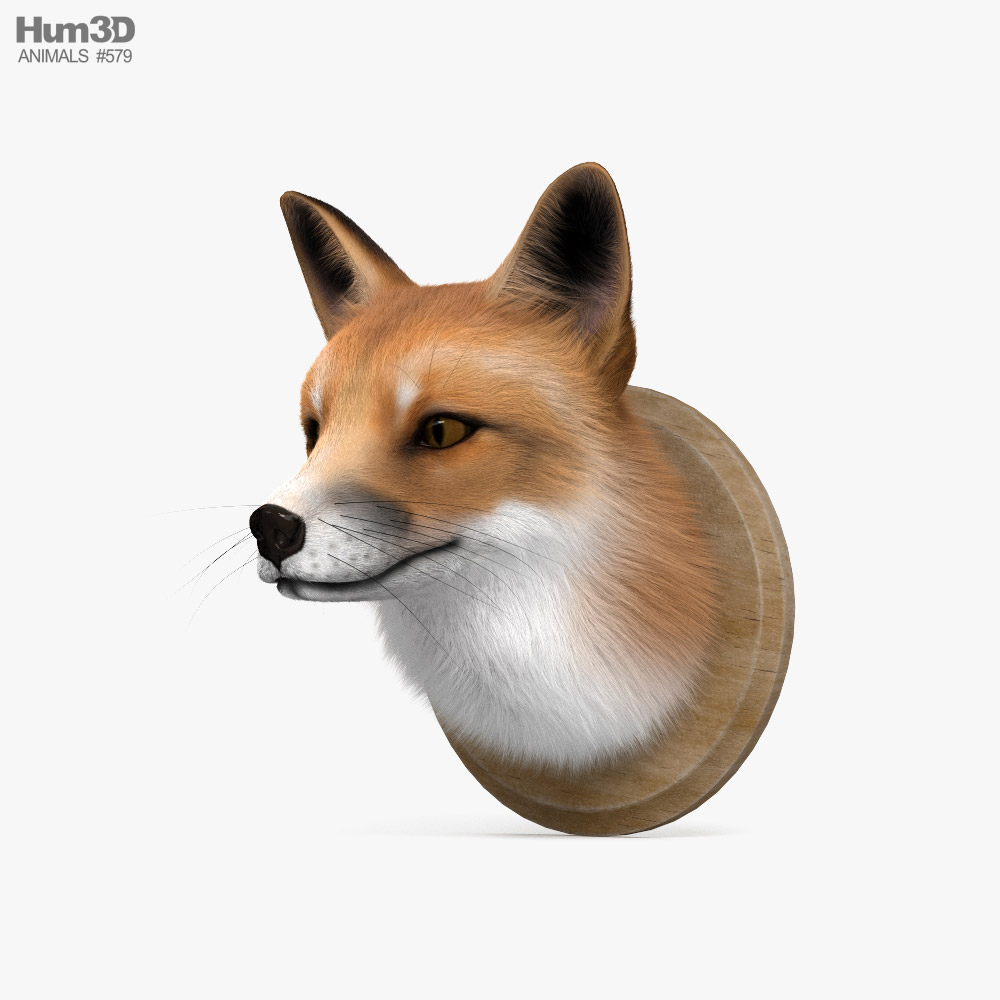 Fox Head 3D model