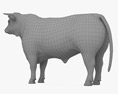 Charolais Cattle Bull 3D 모델 