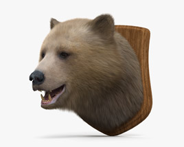 Голова ведмедя 3D модель