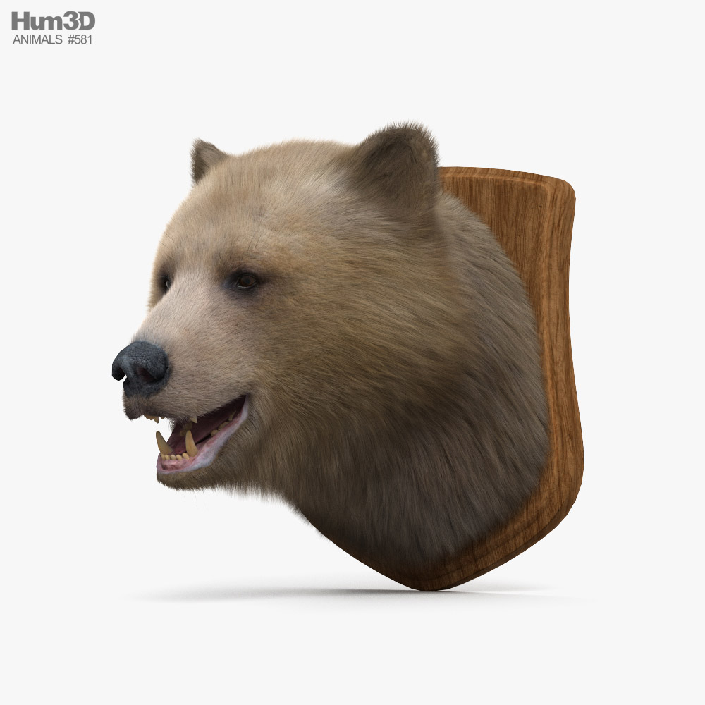 Cabeça de urso Modelo 3d