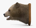 Testa d'orso Modello 3D
