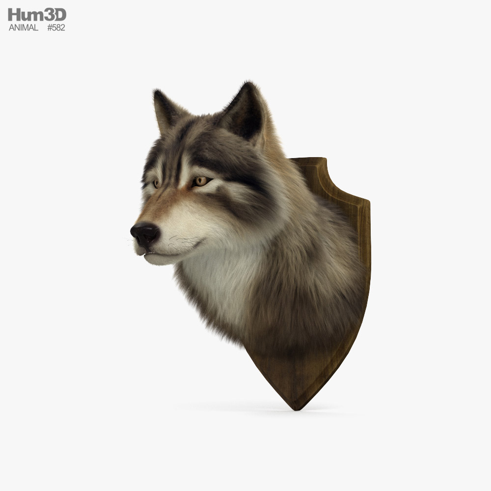 Wolf Head 3D model