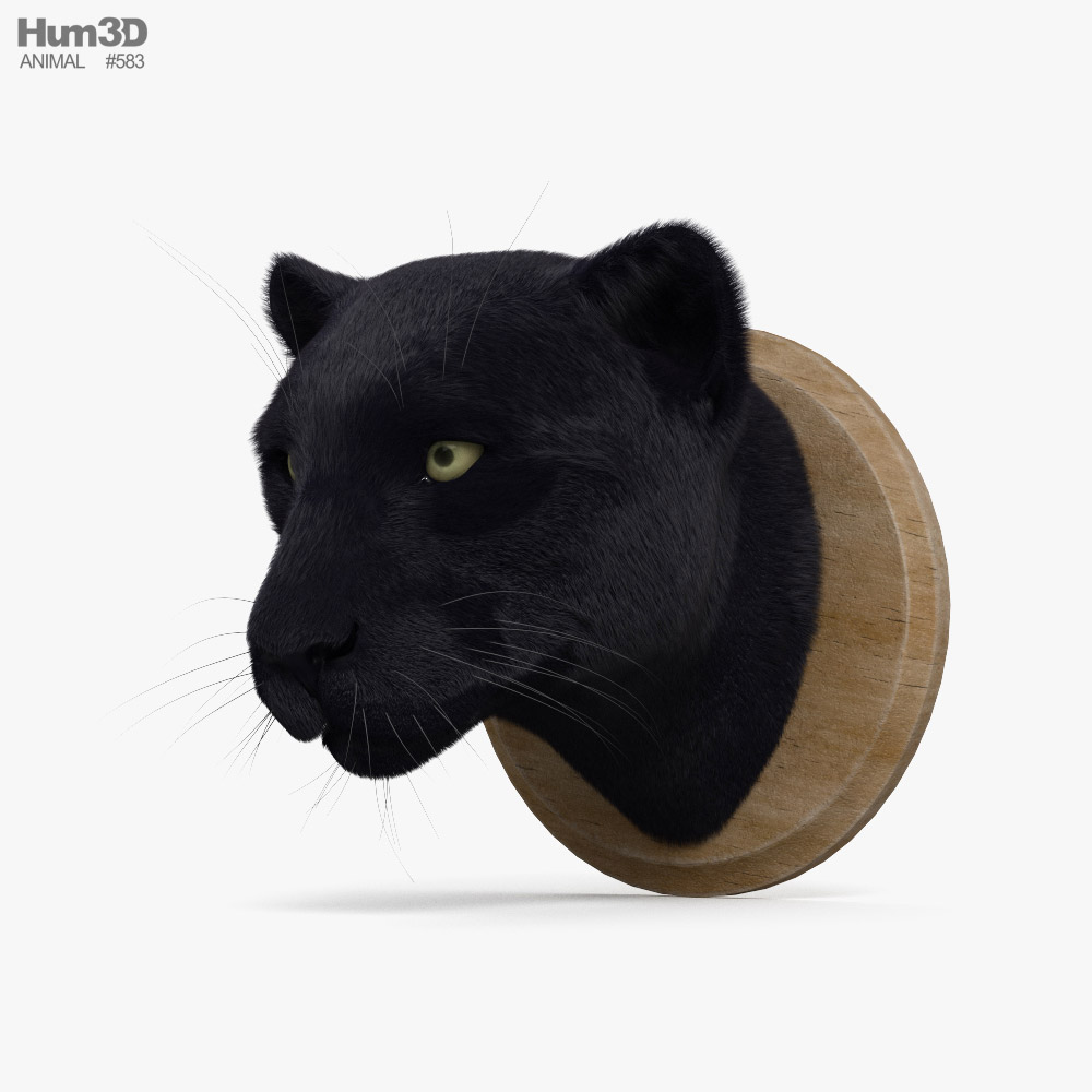 표범 머리 3D 모델 