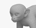 Squirrel Monkey 3d model