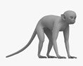 Squirrel Monkey 3Dモデル