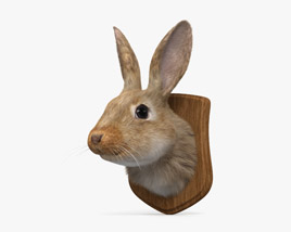 Tête de lapin Modèle 3D